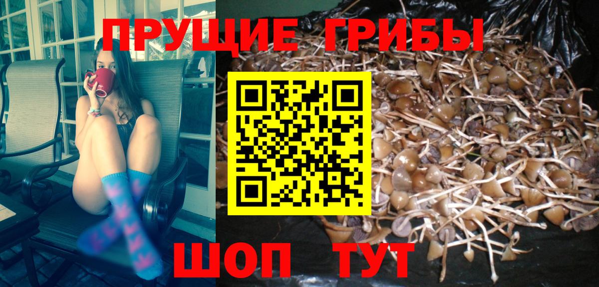 Галлюциногенные грибы мухоморы Кизилюрт
